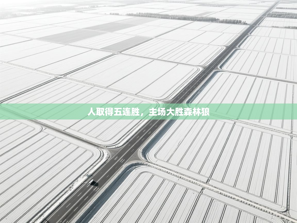 开云体育app官网入口-人取得五连胜,主场大胜森林狼  第2张