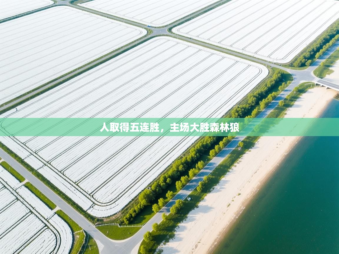开云体育app官网入口-人取得五连胜,主场大胜森林狼  第4张