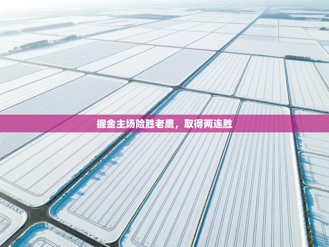 开云体育在线玩-掘金主场险胜老鹰,取得两连胜  第3张
