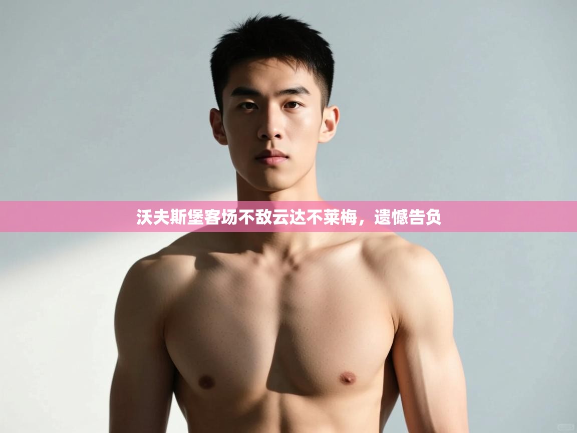 开云体育入口-沃夫斯堡客场不敌云达不莱梅，遗憾告负  第1张