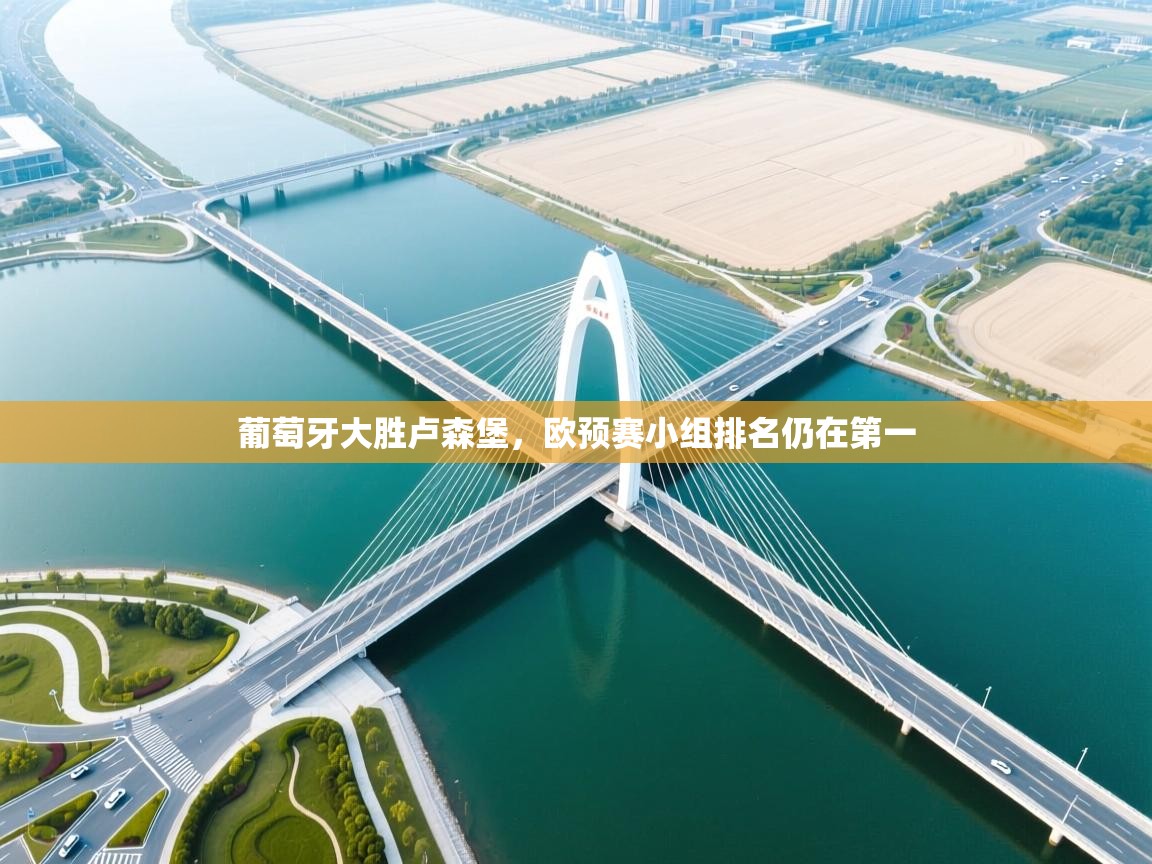 开云官网-葡萄牙大胜卢森堡，欧预赛小组排名仍在第一  第1张