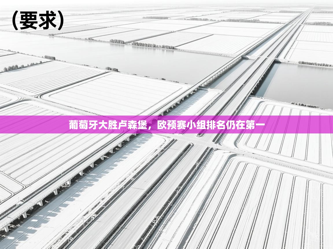 开云官网-葡萄牙大胜卢森堡，欧预赛小组排名仍在第一  第2张