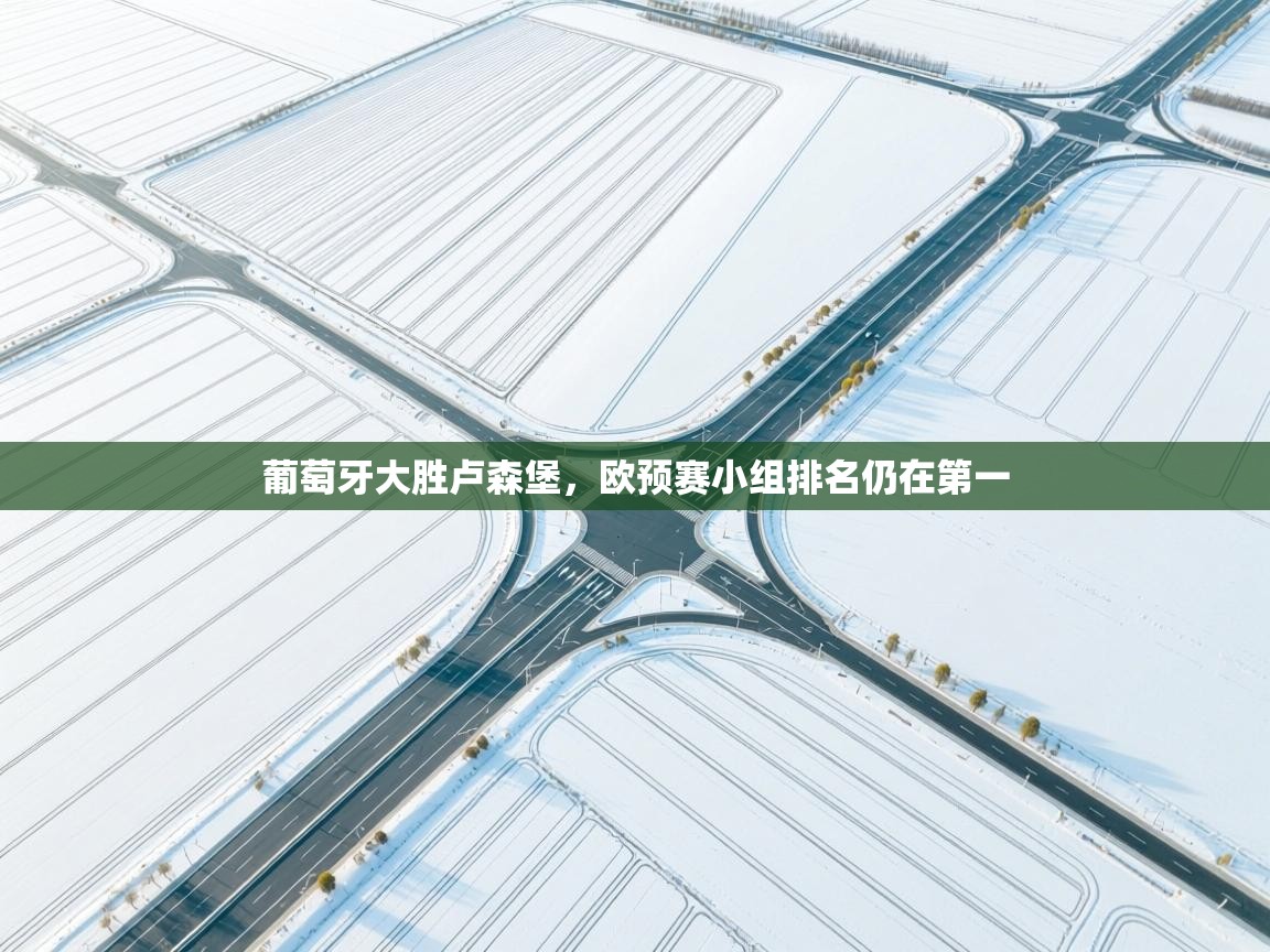 开云官网-葡萄牙大胜卢森堡，欧预赛小组排名仍在第一  第3张