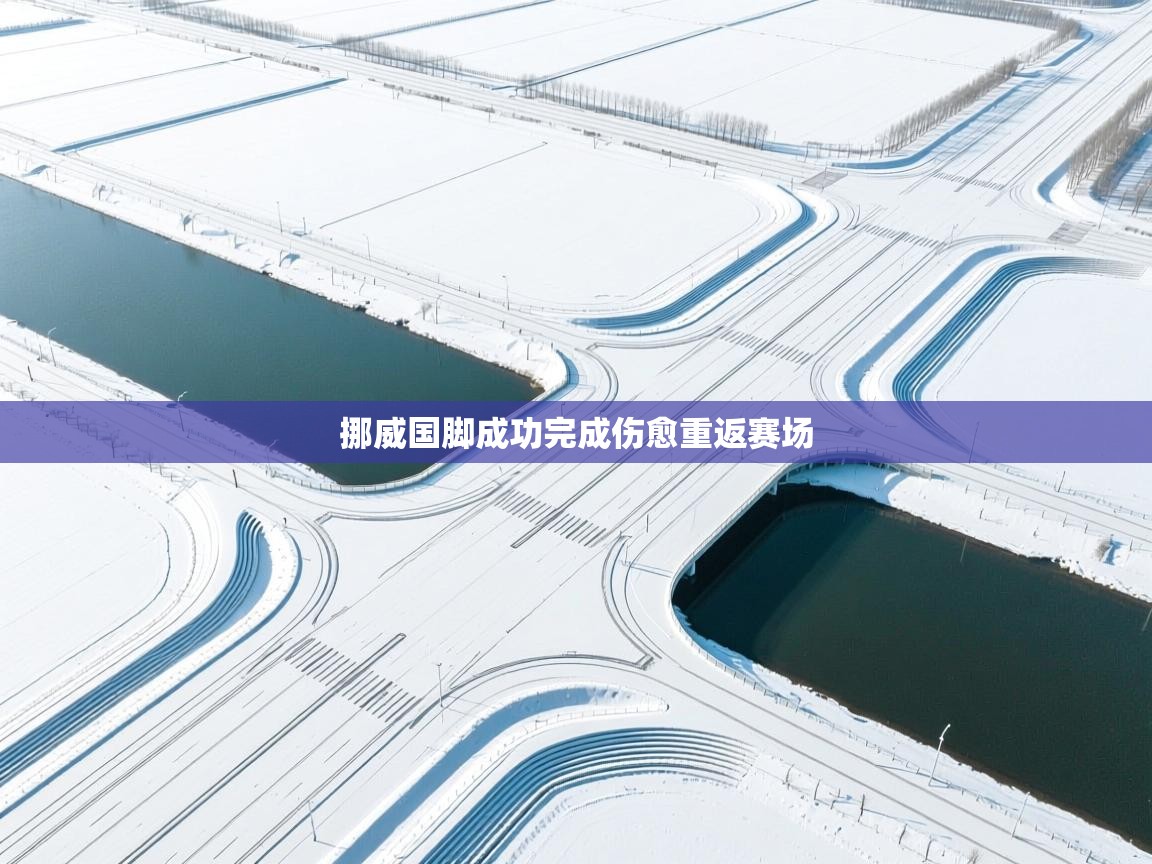 开云体育app安装-挪威国脚成功完成伤愈重返赛场  第2张