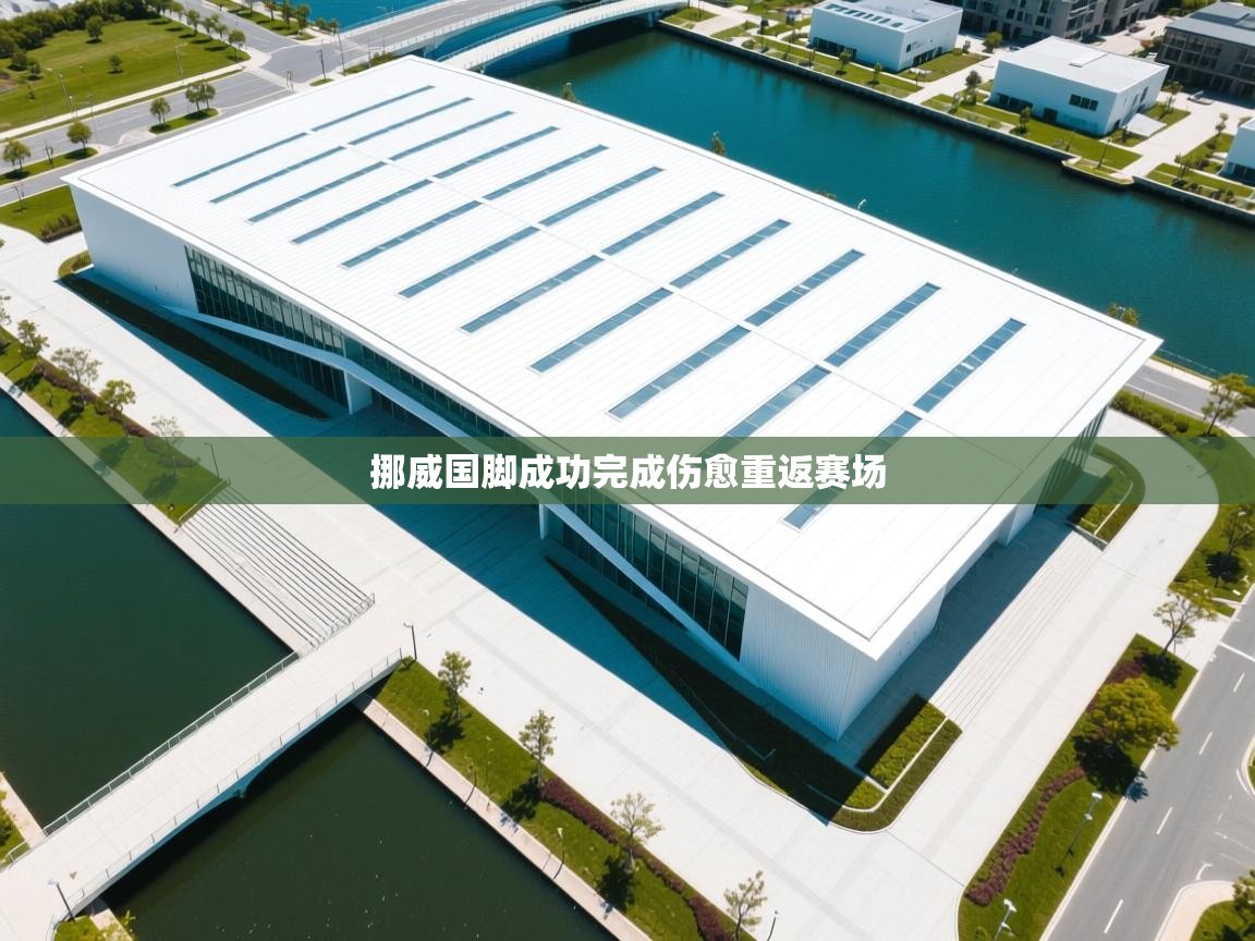 开云体育app安装-挪威国脚成功完成伤愈重返赛场  第3张